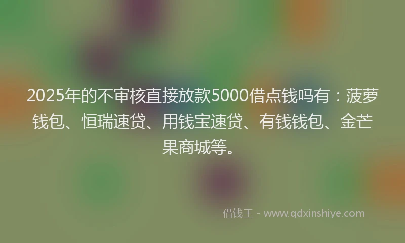 2025年的不审核直接放款5000借点钱吗有：菠萝钱包、恒瑞速贷、用钱宝速贷、有钱钱包、金芒果商城等。