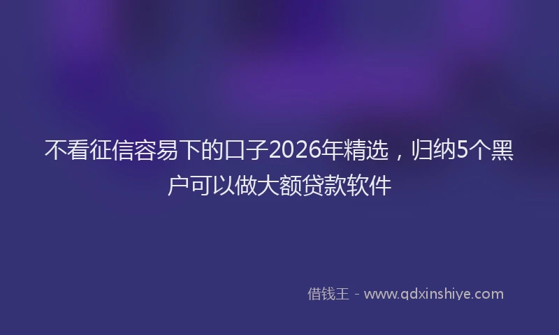 不看征信容易下的口子2026年精选，归纳5个黑户可以做大额贷款软件
