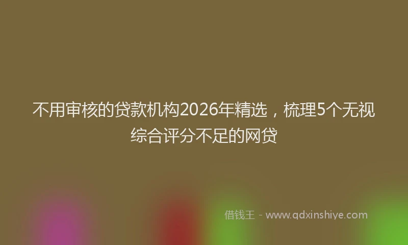 不用审核的贷款机构2026年精选，梳理5个无视综合评分不足的网贷