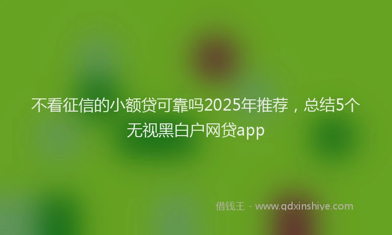 不看征信的小额贷可靠吗2025年推荐，总结5个无视黑白户网贷app