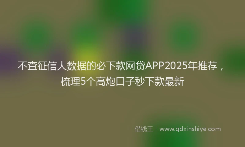 不查征信大数据的必下款网贷APP2025年推荐，梳理5个高炮口子秒下款最新