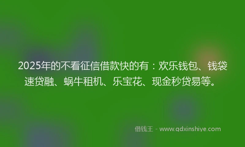 2025年的不看征信借款快的有：欢乐钱包、钱袋速贷融、蜗牛租机、乐宝花、现金秒贷易等。