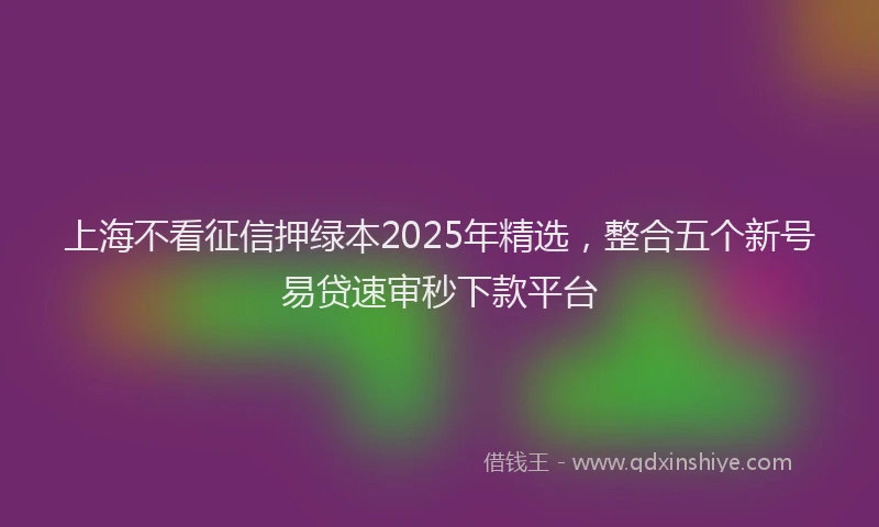上海不看征信押绿本2025年精选，整合五个新号易贷速审秒下款平台