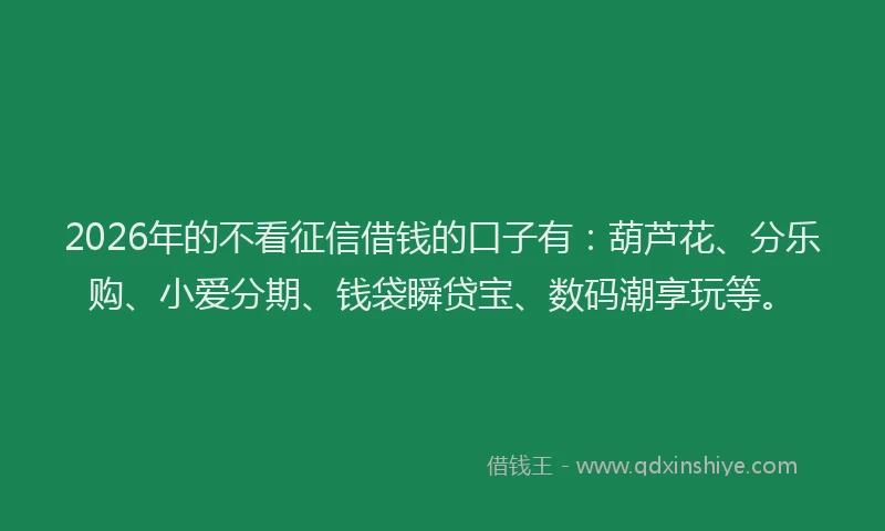 2026年的不看征信借钱的口子有：葫芦花、分乐购、小爱分期、钱袋瞬贷宝、数码潮享玩等。