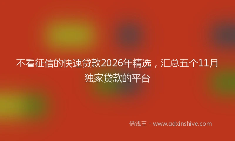 不看征信的快速贷款2026年精选，汇总五个11月独家贷款的平台