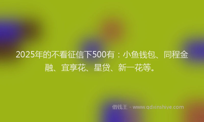 2025年的不看征信下500有：小鱼钱包、同程金融、宜享花、星贷、新一花等。