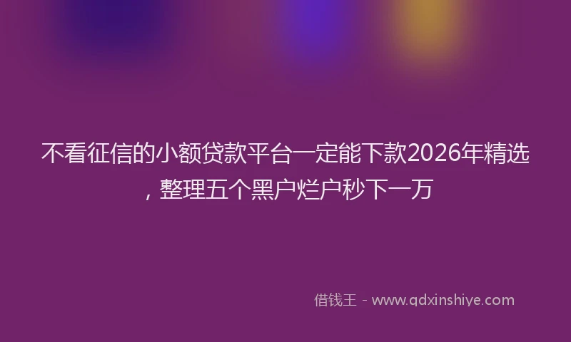 不看征信的小额贷款平台一定能下款2026年精选，整理五个黑户烂户秒下一万