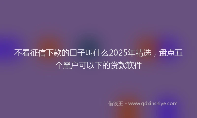 不看征信下款的口子叫什么2025年精选，盘点五个黑户可以下的贷款软件