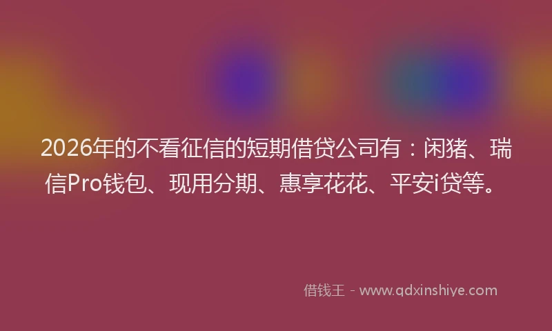 2026年的不看征信的短期借贷公司有：闲猪、瑞信Pro钱包、现用分期、惠享花花、平安i贷等。