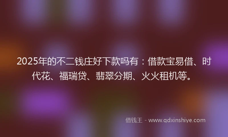 2025年的不二钱庄好下款吗有：借款宝易借、时代花、福瑞贷、翡翠分期、火火租机等。