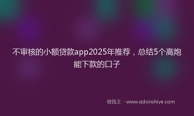 不审核的小额贷款app2025年推荐，总结5个高炮能下款的口子