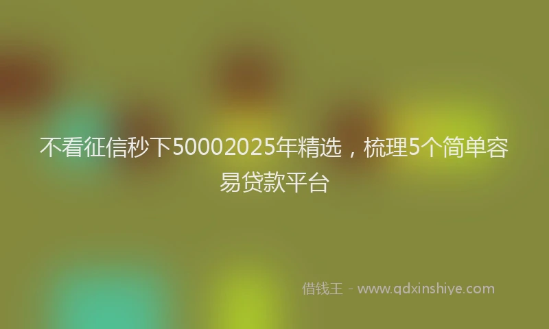 不看征信秒下50002025年精选，梳理5个简单容易贷款平台