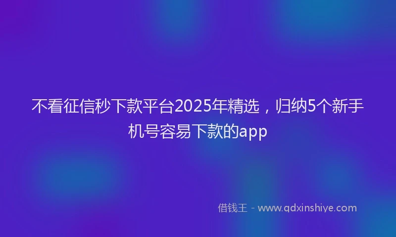 不看征信秒下款平台2025年精选，归纳5个新手机号容易下款的app