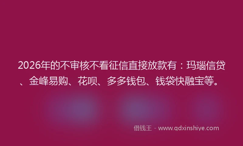 2026年的不审核不看征信直接放款有：玛瑙信贷、金峰易购、花呗、多多钱包、钱袋快融宝等。