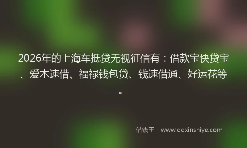 2026年的上海车抵贷无视征信有：借款宝快贷宝、爱木速借、福禄钱包贷、钱速借通、好运花等。