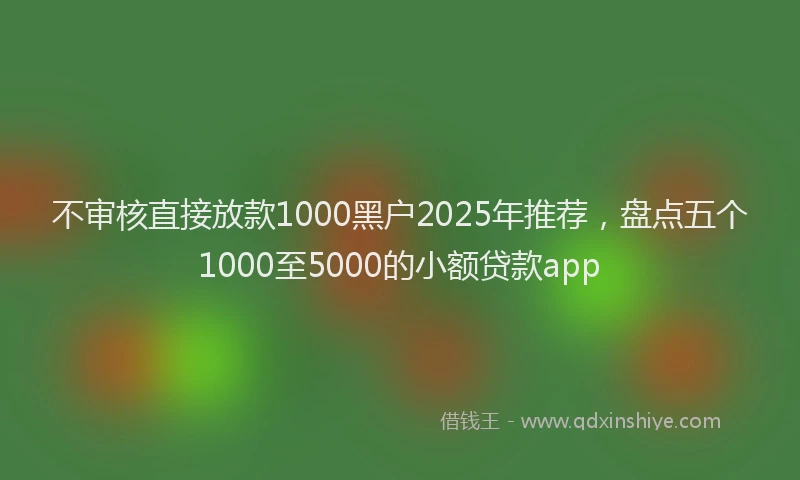 不审核直接放款1000黑户2025年推荐，盘点五个1000至5000的小额贷款app