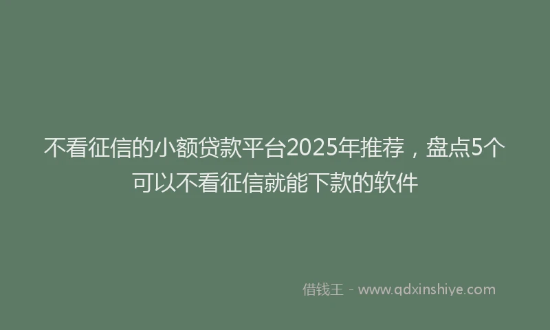 不看征信的小额贷款平台2025年推荐，盘点5个可以不看征信就能下款的软件