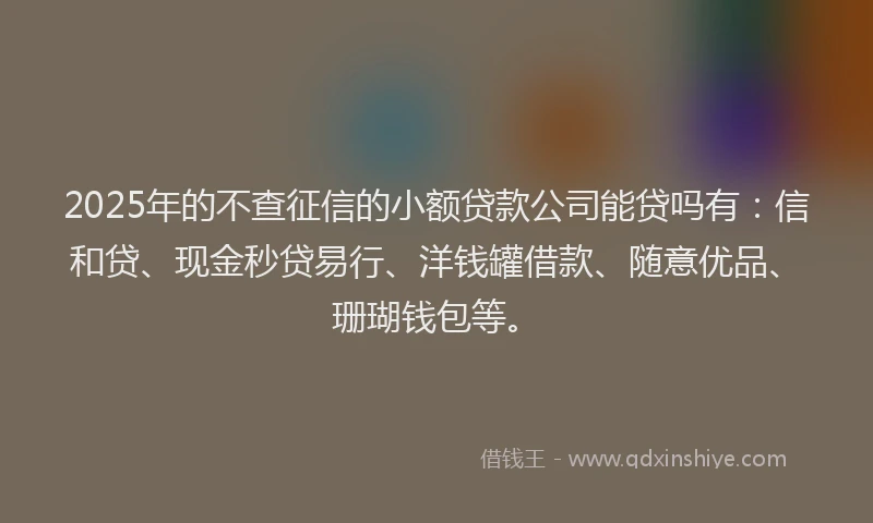 2025年的不查征信的小额贷款公司能贷吗有：信和贷、现金秒贷易行、洋钱罐借款、随意优品、珊瑚钱包等。