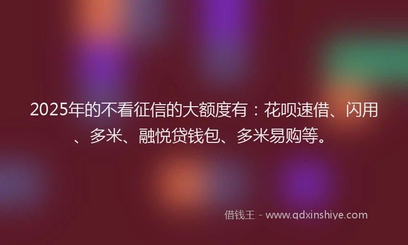 2025年的不看征信的大额度有：花呗速借、闪用、多米、融悦贷钱包、多米易购等。