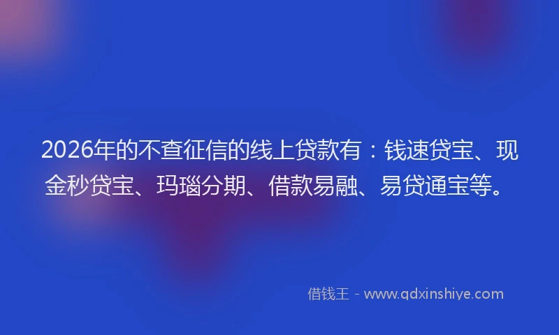 2026年的不查征信的线上贷款有：钱速贷宝、现金秒贷宝、玛瑙分期、借款易融、易贷通宝等。