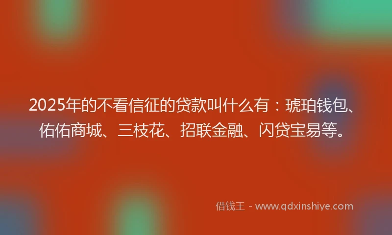 2025年的不看信征的贷款叫什么有：琥珀钱包、佑佑商城、三枝花、招联金融、闪贷宝易等。