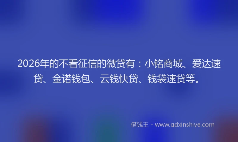2026年的不看征信的微贷有：小铭商城、爱达速贷、金诺钱包、云钱快贷、钱袋速贷等。