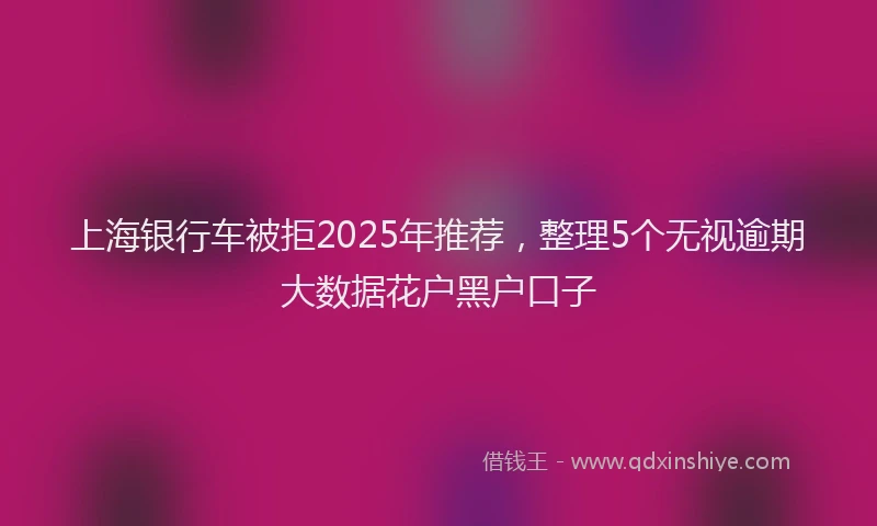 上海银行车被拒2025年推荐，整理5个无视逾期大数据花户黑户口子