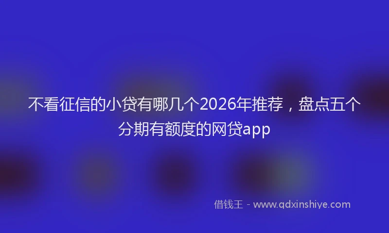 不看征信的小贷有哪几个2026年推荐，盘点五个分期有额度的网贷app