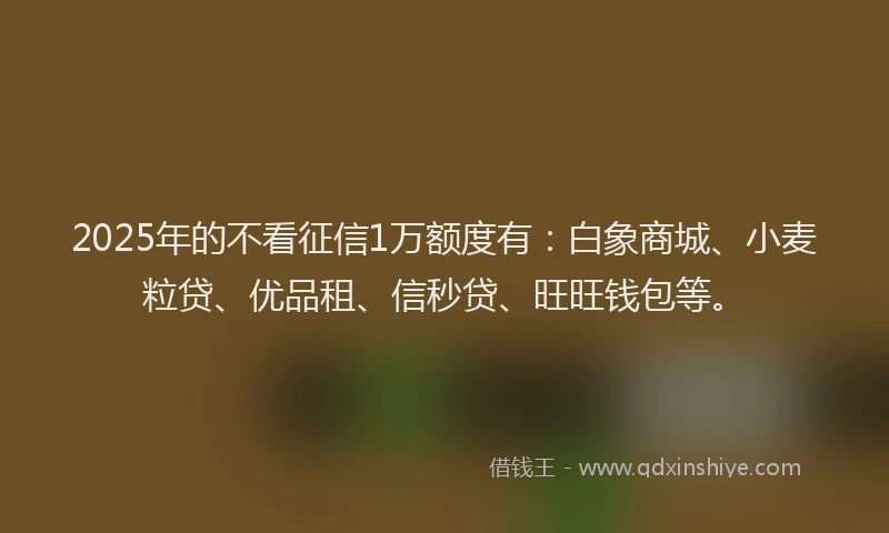 2025年的不看征信1万额度有：白象商城、小麦粒贷、优品租、信秒贷、旺旺钱包等。