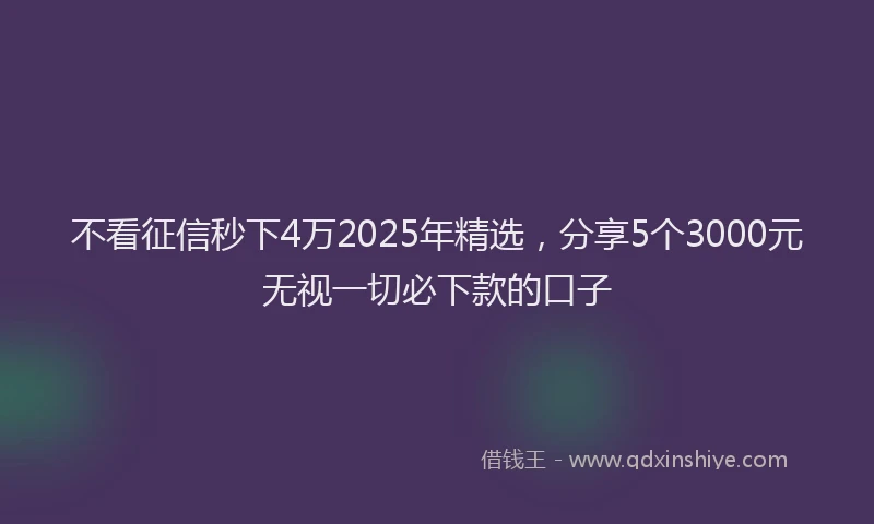 不看征信秒下4万2025年精选，分享5个3000元无视一切必下款的口子