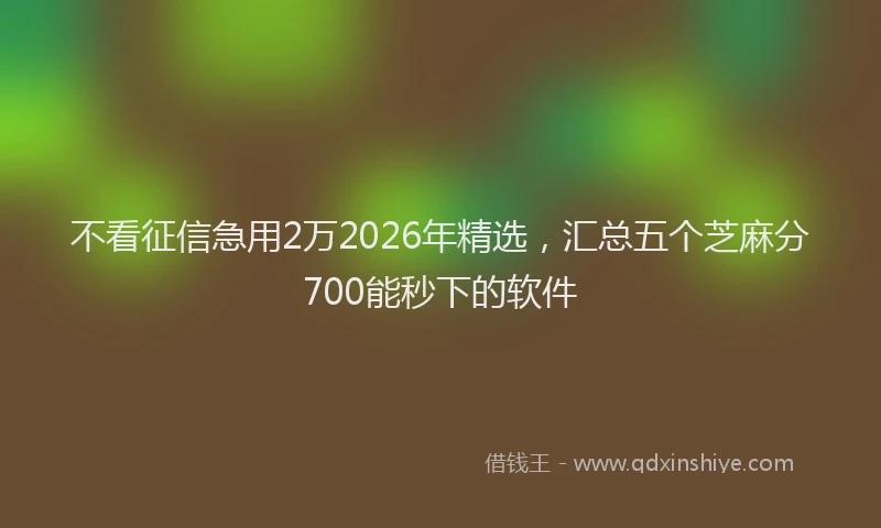 不看征信急用2万2026年精选，汇总五个芝麻分700能秒下的软件