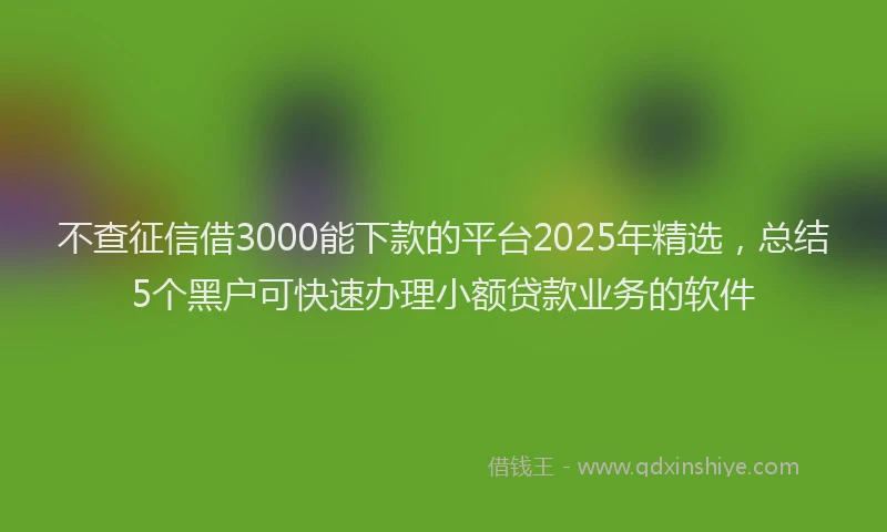 不查征信借3000能下款的平台2025年精选，总结5个黑户可快速办理小额贷款业务的软件