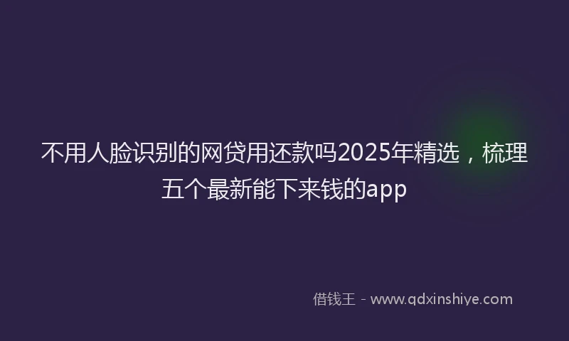 不用人脸识别的网贷用还款吗2025年精选，梳理五个最新能下来钱的app
