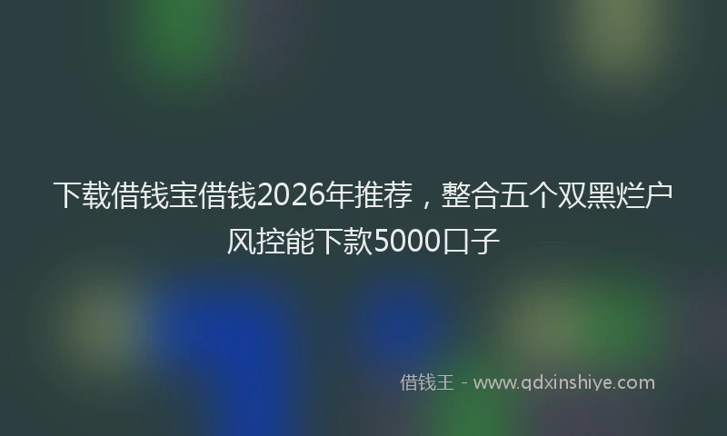下载借钱宝借钱2026年推荐，整合五个双黑烂户风控能下款5000口子
