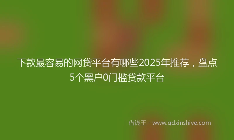 下款最容易的网贷平台有哪些2025年推荐，盘点5个黑户0门槛贷款平台