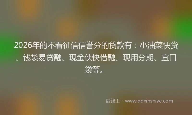 2026年的不看征信信誉分的贷款有：小油菜快贷、钱袋易贷融、现金侠快借融、现用分期、宜口袋等。