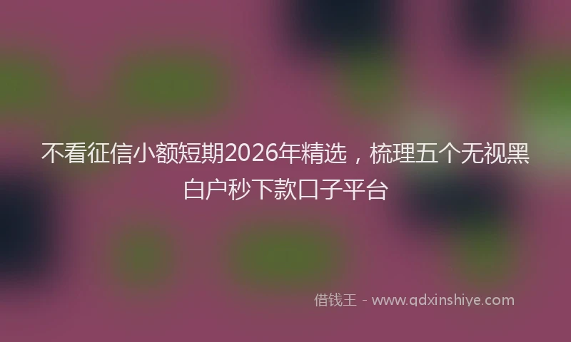 不看征信小额短期2026年精选，梳理五个无视黑白户秒下款口子平台
