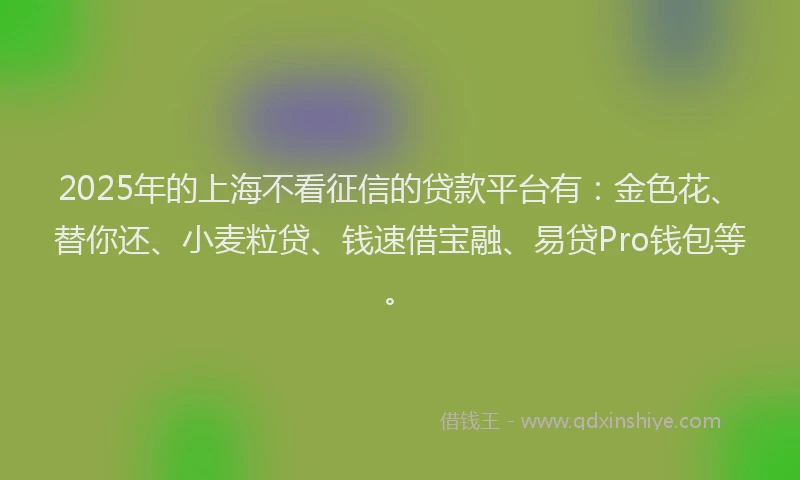 2025年的上海不看征信的贷款平台有：金色花、替你还、小麦粒贷、钱速借宝融、易贷Pro钱包等。