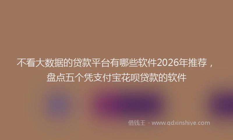 不看大数据的贷款平台有哪些软件2026年推荐，盘点五个凭支付宝花呗贷款的软件