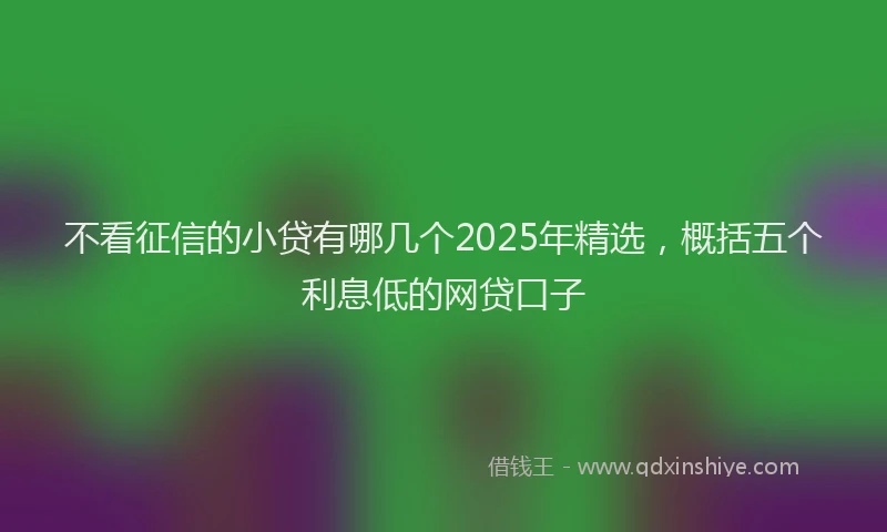 不看征信的小贷有哪几个2025年精选，概括五个利息低的网贷口子