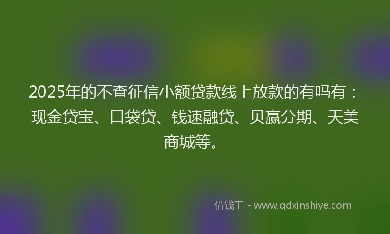 2025年的不查征信小额贷款线上放款的有吗有:现金贷宝、口袋贷、钱速融贷、贝赢分期、天美商城等。