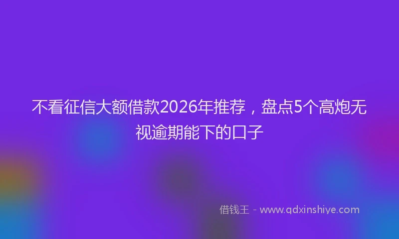 不看征信大额借款2026年推荐，盘点5个高炮无视逾期能下的口子