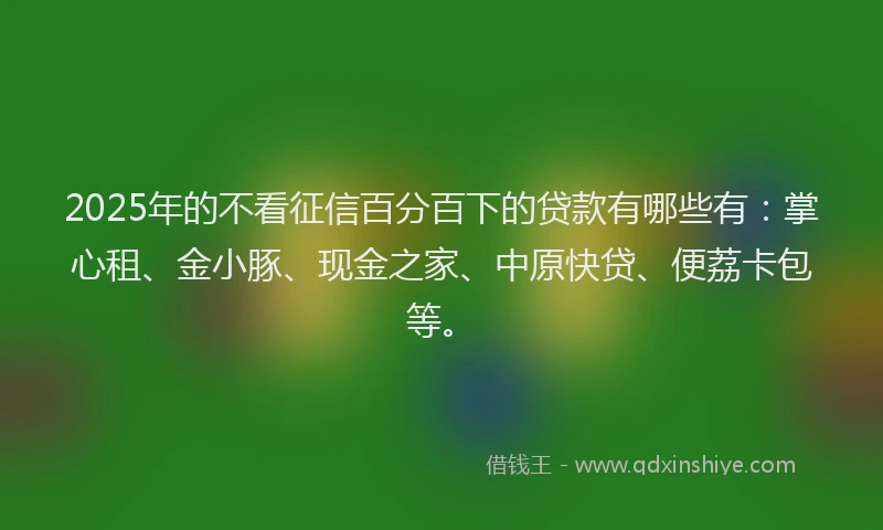 2025年的不看征信百分百下的贷款有哪些有:掌心租、金小豚、现金之家、中原快贷、便荔卡包等。