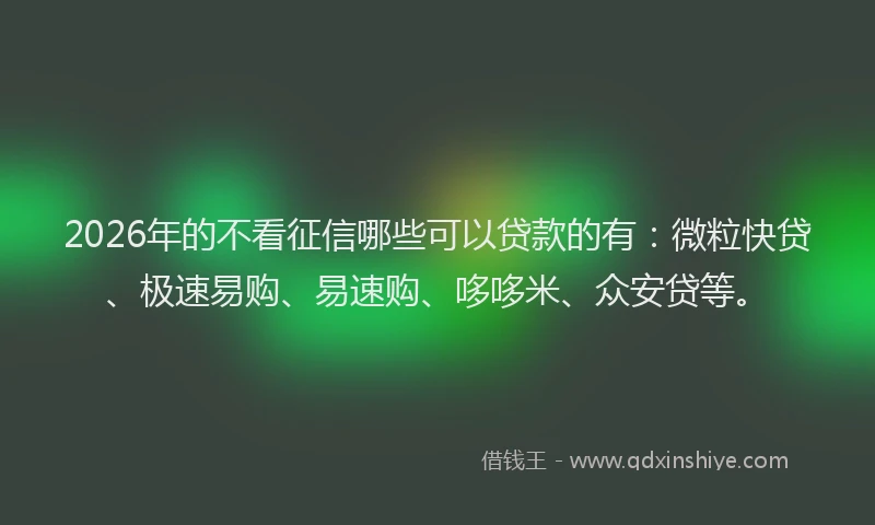 2026年的不看征信哪些可以贷款的有:微粒快贷、极速易购、易速购、哆哆米、众安贷等。