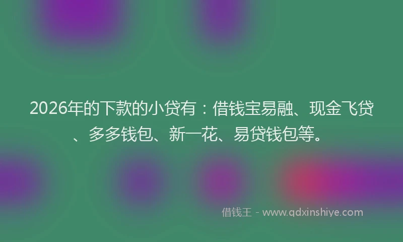 2026年的下款的小贷有：借钱宝易融、现金飞贷、多多钱包、新一花、易贷钱包等。