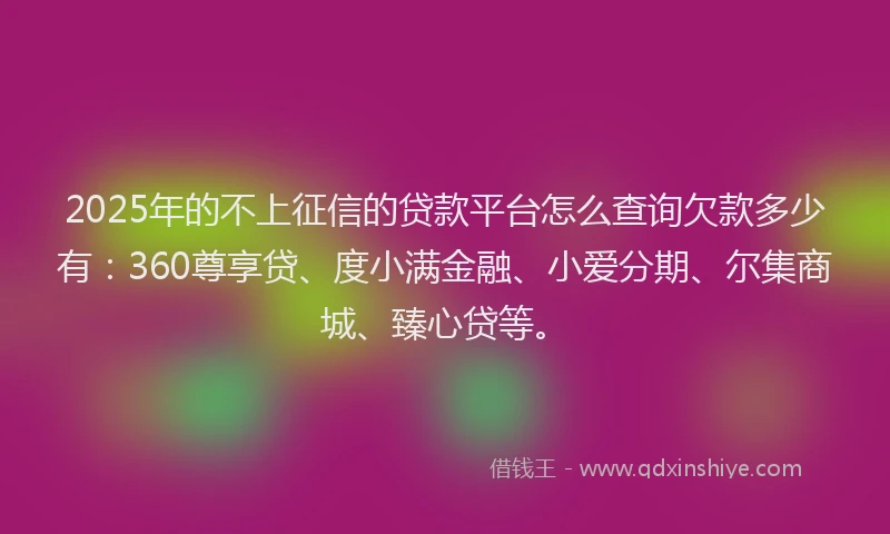 2025年的不上征信的贷款平台怎么查询欠款多少有：360尊享贷、度小满金融、小爱分期、尔集商城、臻心贷等。