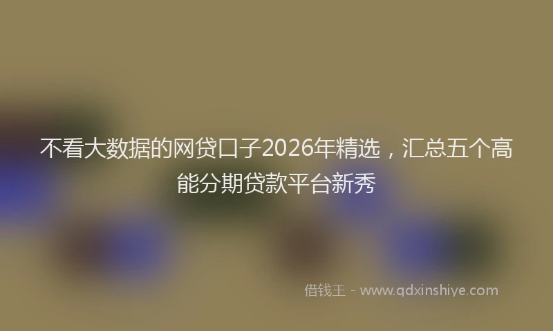 不看大数据的网贷口子2026年精选，汇总五个高能分期贷款平台新秀