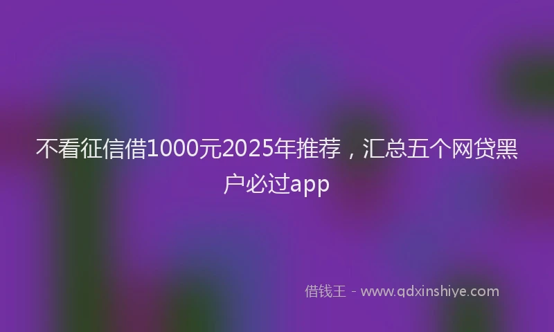 不看征信借1000元2025年推荐,汇总五个网贷黑户必过app