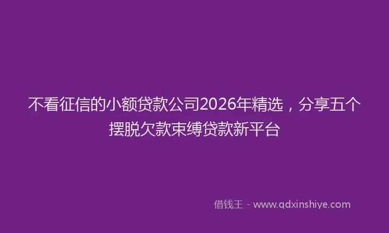 不看征信的小额贷款公司2026年精选，分享五个摆脱欠款束缚贷款新平台