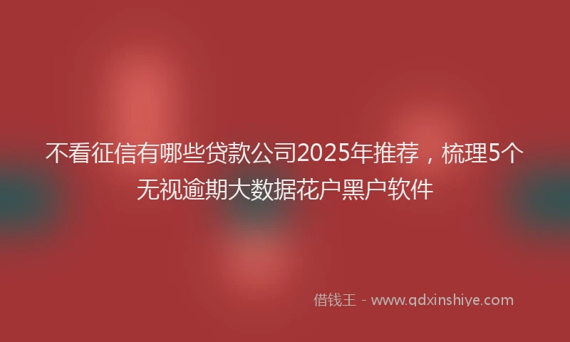 不看征信有哪些贷款公司2025年推荐，梳理5个无视逾期大数据花户黑户软件